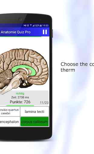 Anatomy Quiz 2
