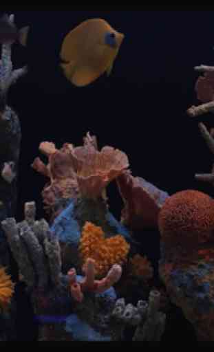 Aquarium HD 2