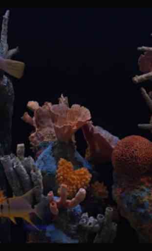 Aquarium HD 4
