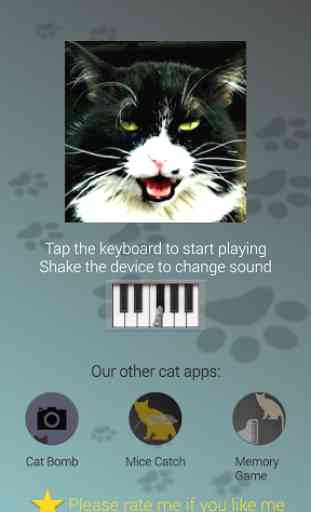Cat Piano 1