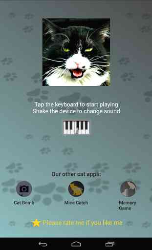 Cat Piano 4