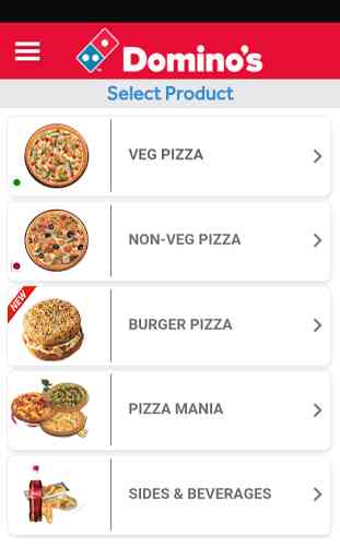 Domino's Pizza Online Delivery 2