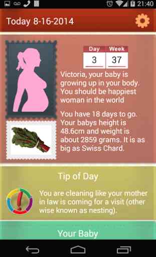 Jours de grossesse par jour 2