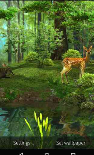 3D Deer-Nature Live Wallpaper 4