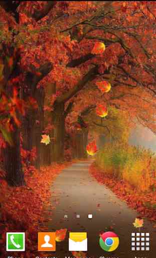 Autumn Leaves HD LiveWallpaper 2