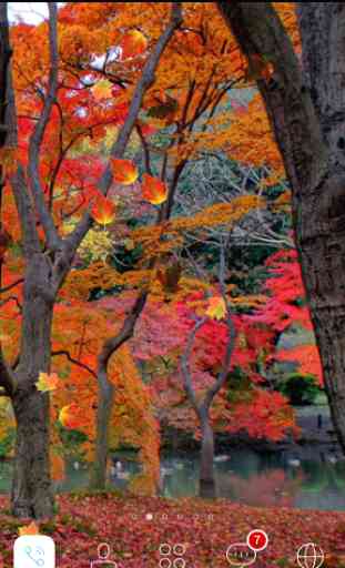 Autumn Leaves HD LiveWallpaper 4