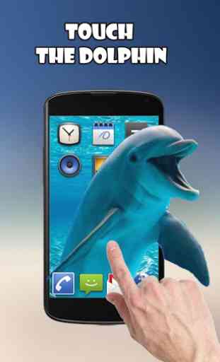 Dolphins Live Wallpaper 1