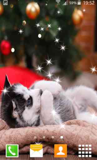 Husky Puppy Live Wallpapers 3