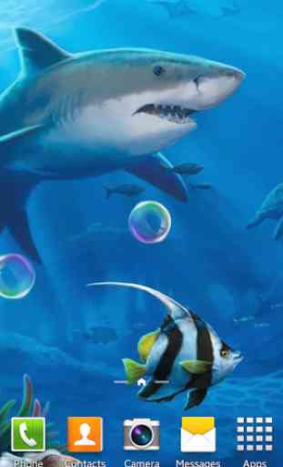 Requins Fond D'écran Animé 4