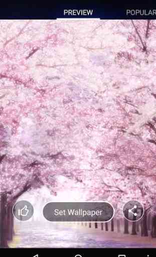 Romatic Sakura Live Wallpaper 3