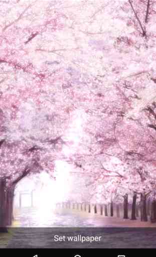 Romatic Sakura Live Wallpaper 4