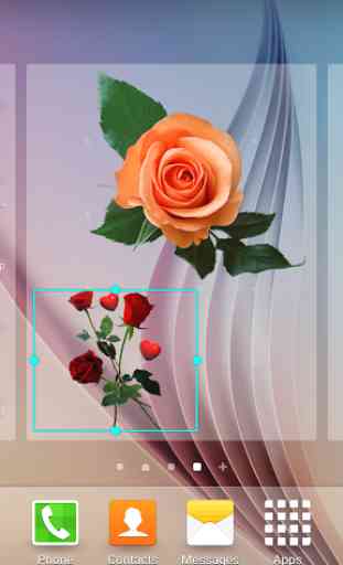Rose Fleurs Gif 2