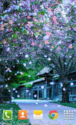 Sakura Live Wallpaper 4