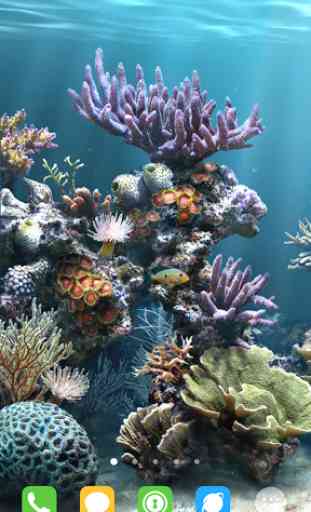 Underwater World Aquarium 2
