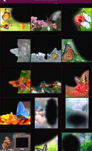 Butterfly Frames 360 2