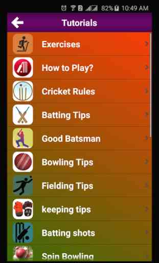 Cricket Training 4