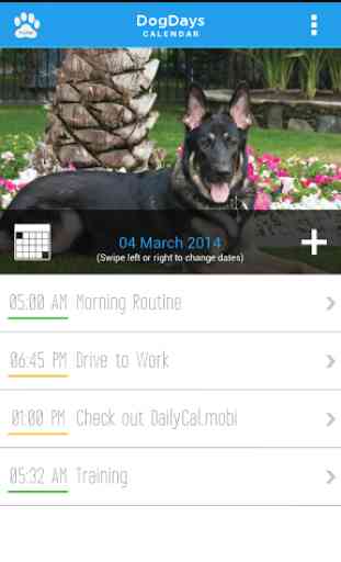 DogDays | Calendar & Puzzles 1