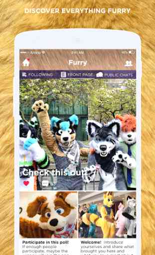 Furry Amino for Chat and News 2