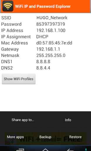 WiFi Password, IP, DNS 2