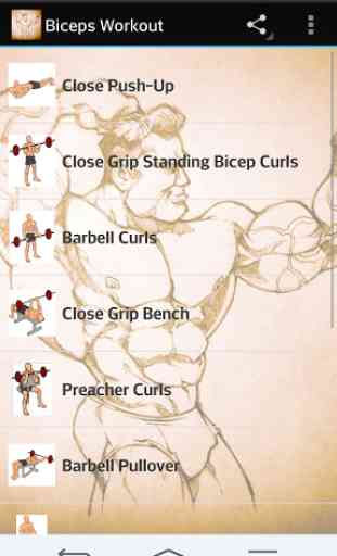 Biceps Workout 1