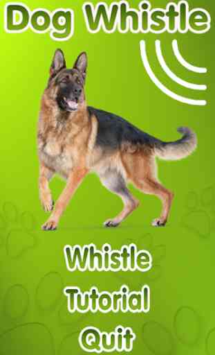 Dog Whistle, Trainer 2017 1