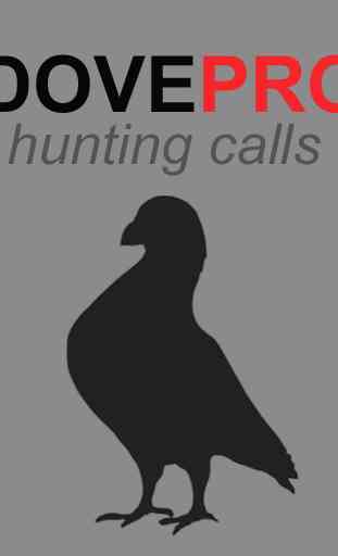 Dove Calls for Hunting 1