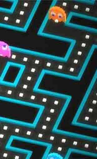 Guide for Pac Man 256 1