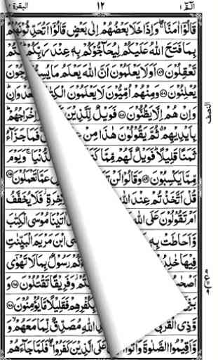 Holy Quran (16 lines per page) 3