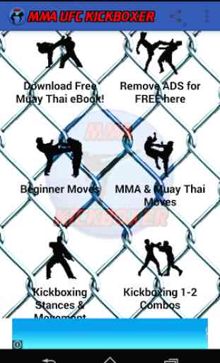 Learn MMA UFC Kickboxer 1