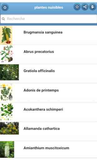 plantes nuisibles 1