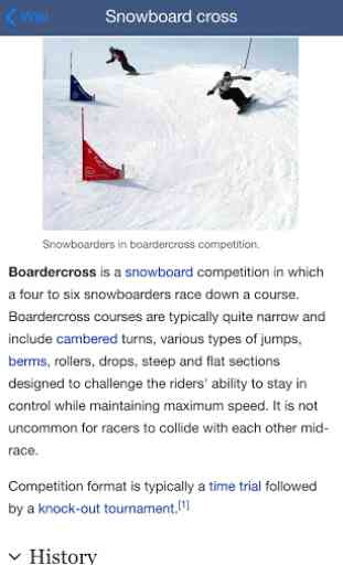 Snowboard EX 4