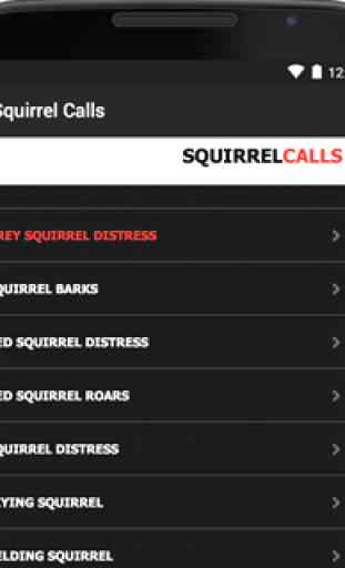 Squirrel Call-Squirrel Hunting 4