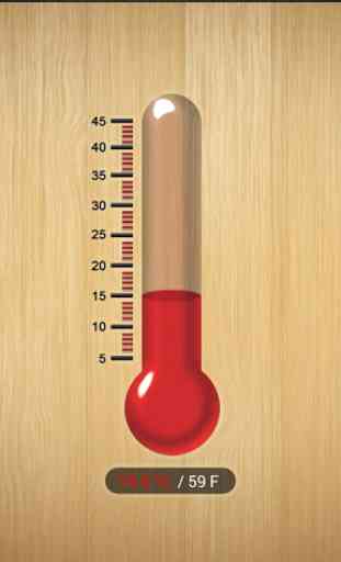 Thermomètre 1