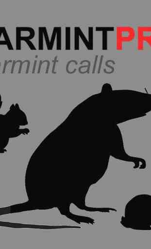 Varmint Calls for Hunting 1
