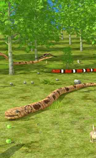 Anaconda Serpent Chasse 2