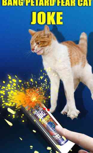 Bang Petard Deafened Cat Joke 4
