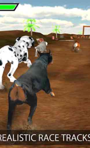 Chien Greyhound Racing 3D 1