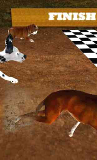Chien Greyhound Racing 3D 2