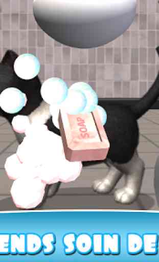 Daily Kitten : chat virtuel 2
