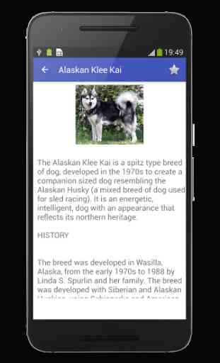 Dog Breeds Encyclopedia 2