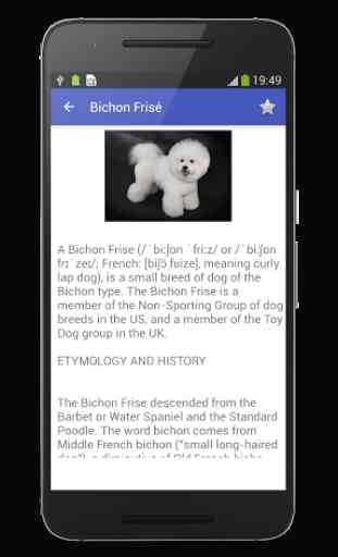 Dog Breeds Encyclopedia 3
