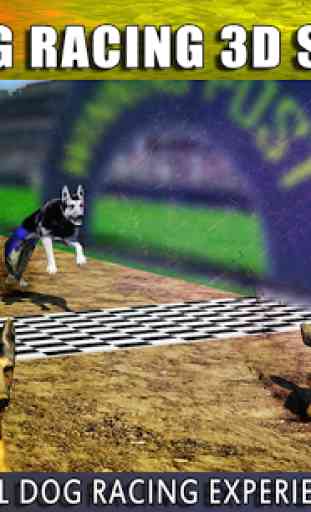 Dog Racing 3D Simulator 1