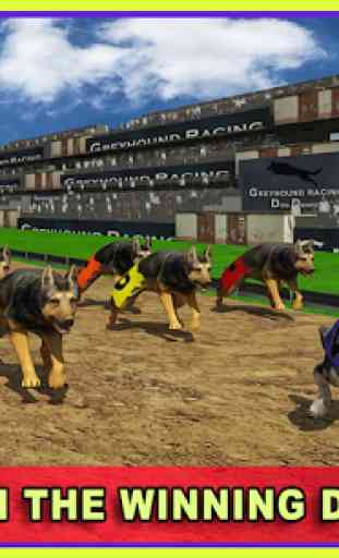 Dog Racing 3D Simulator 3
