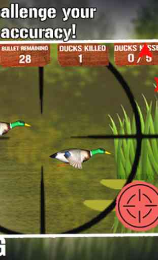 Duck Hunting 1