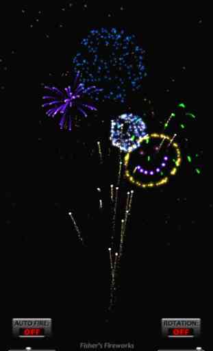 Fishers Fireworks 2