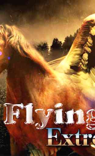 Flying Horse Extreme Tour 1