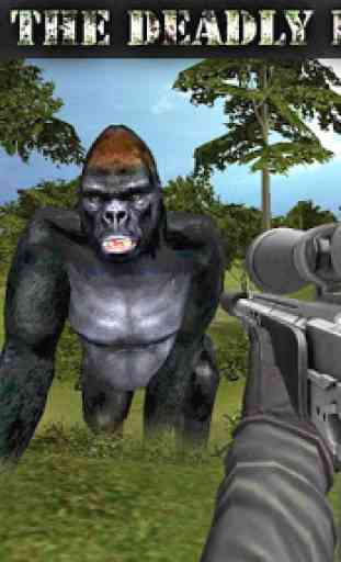 Gorilla animal chasse gratuit 2