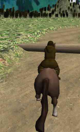 Horse Jumping Maître 3