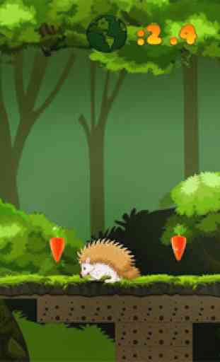 Jungle Bunny Run 1
