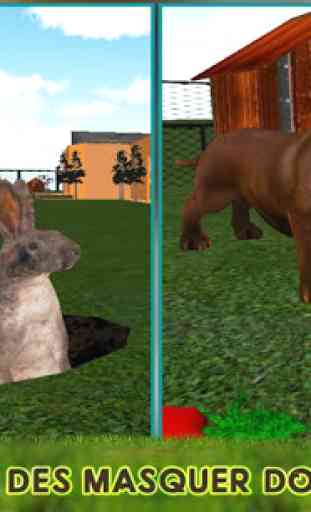 Pet Lapin vs chien attaque 3D 1